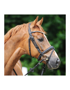 Kavalkade Träns Cortica cork 2