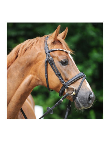 Kavalkade Träns Cortica cork