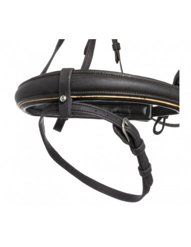 Kavalkade Träns Cortica cork