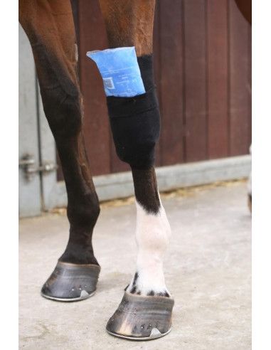 Kentucky tendon grip gel sock