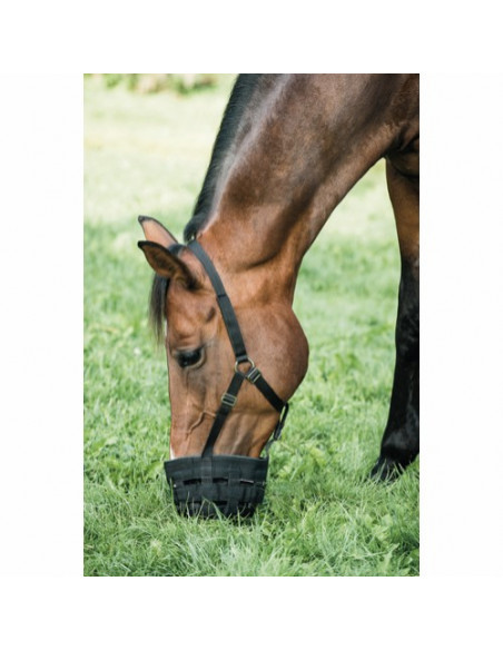 Horse Guard Gräsreducerare