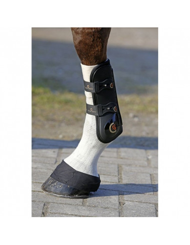 Kentucky tendon grip sock