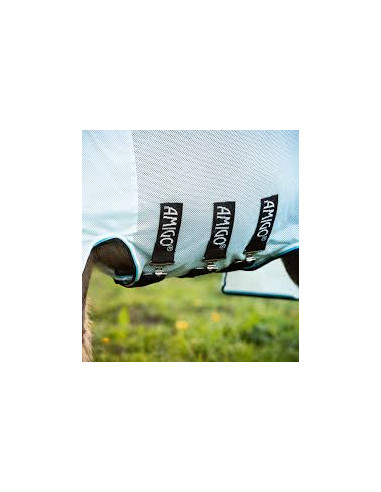 Amigo Petite Bug Rug