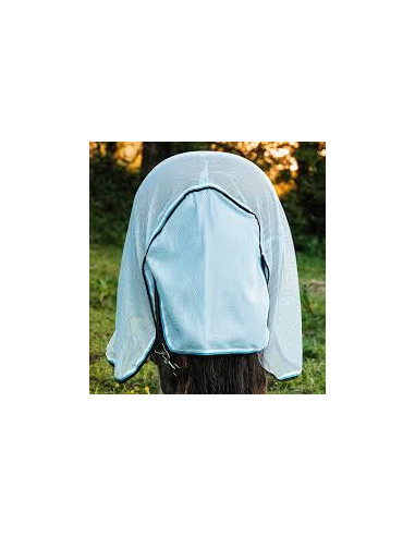 Amigo Petite Bug Rug