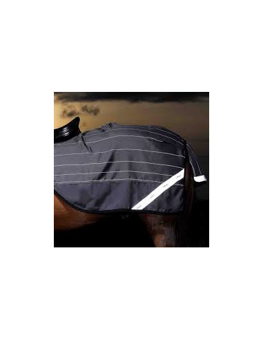 Amigo Reflectech Comp Sheet