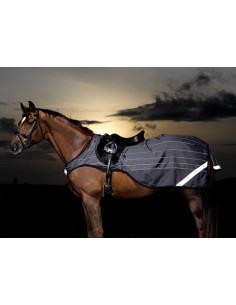 Amigo Reflectech Comp Sheet