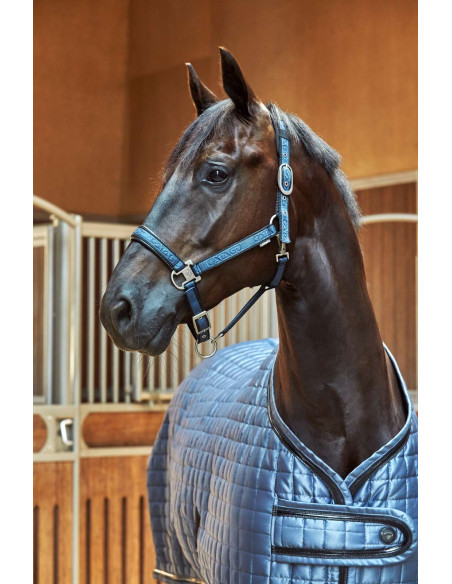 Catago FIR-Tech Elegant Show rug