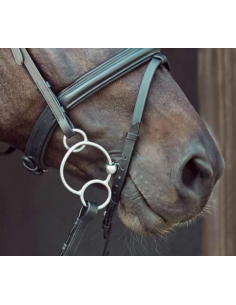 Horse Guard 3-delat 3-ringsbett 2