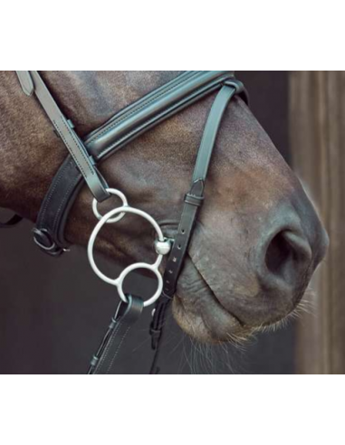 Horse Guard 3-delat 3-ringsbett