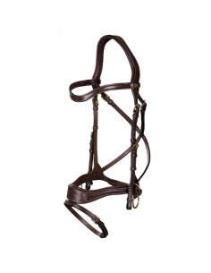 Dyón D Motion träns Dyón Collection 2