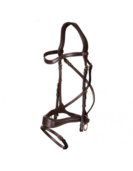 Dyón D Motion träns Dyón Collection