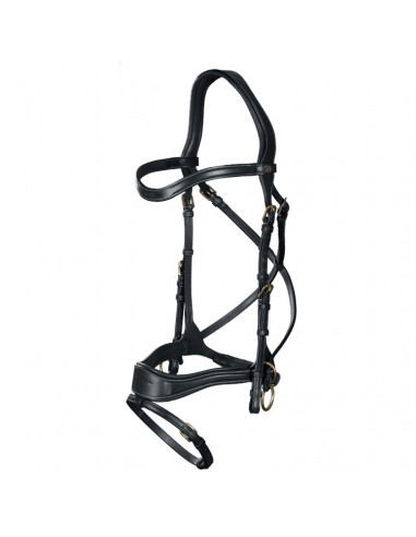 Dyón D Motion träns Dyón Collection