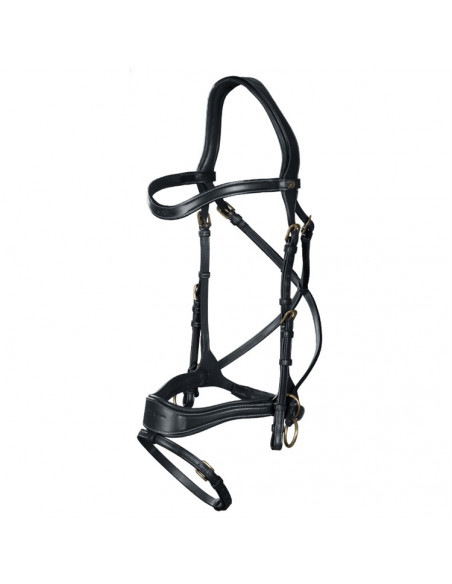 Dyón D Motion träns Dyón Collection