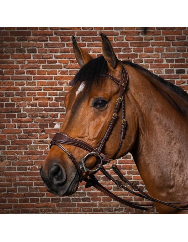 Dyón D Motion träns Dyón Collection