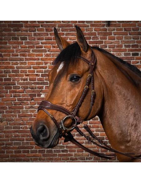 Dyón D Motion träns Dyón Collection