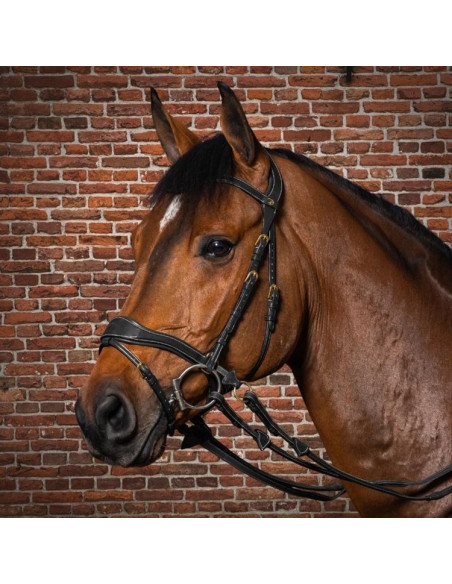 Dyón D Motion träns Dyón Collection