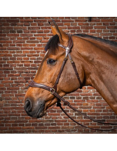 Dyón D Motion träns Dyón Collection