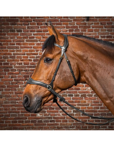 Dyón D Motion träns Dyón Collection