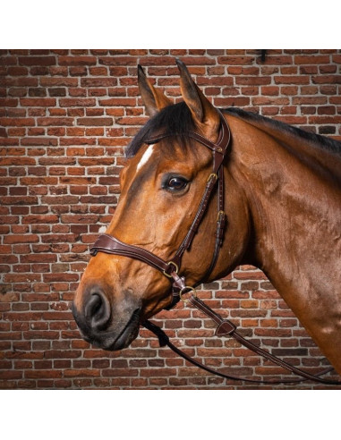 Dyón D Motion träns Dyón Collection