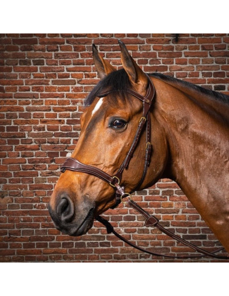 Dyón D Motion träns Dyón Collection