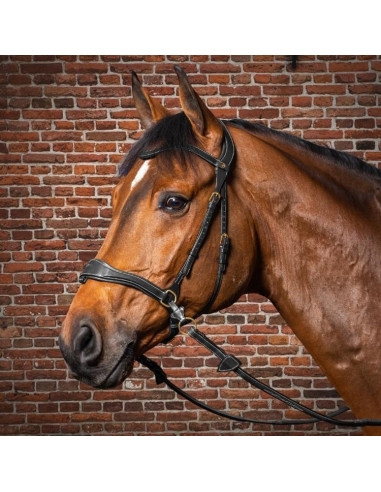 Dyón D Motion träns Dyón Collection